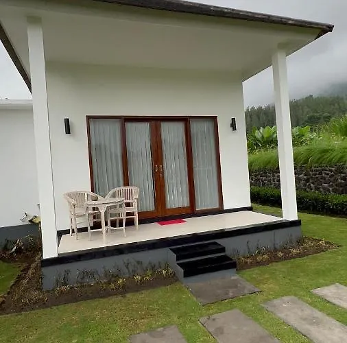 ベッド・アンド・ブレックファスト Bali Astetic And Hot Spring Kintamani